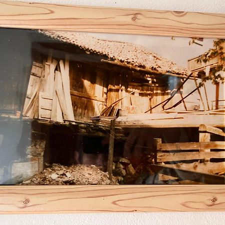 Apartmán Ciasa Agb Moena Exteriér fotografie